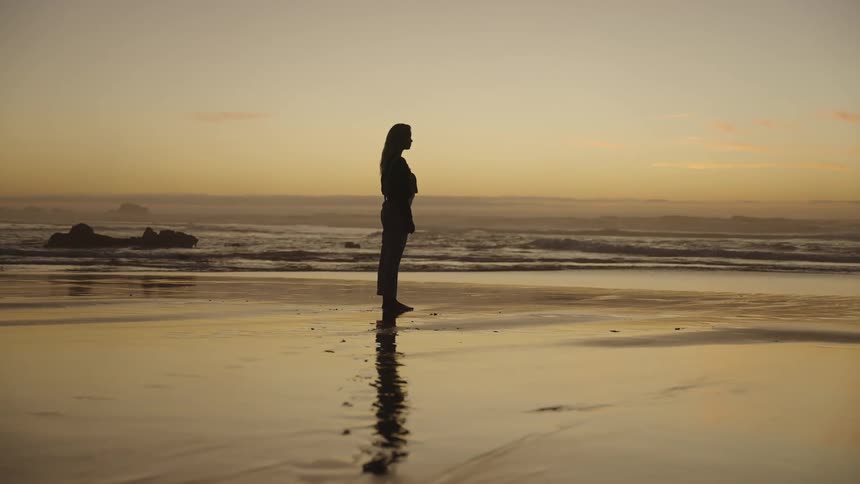 Silhouette of a woman standing on the beach at sunset