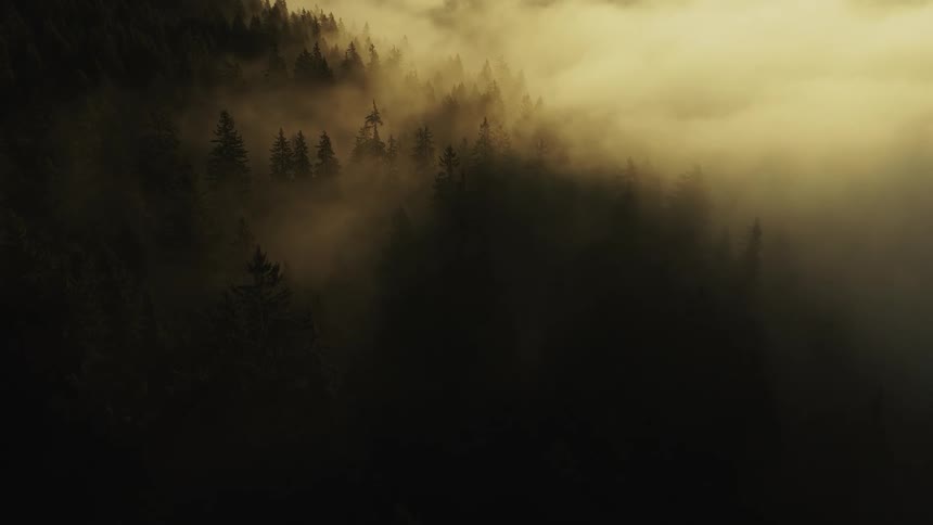 The video is a wide aerial shot flying over a dense mountainous forest shrouded in a thick lowhanging golden fog the sunlight struggles to penetrate the heavy mist creating a dramatic and mysterious atmosphere
