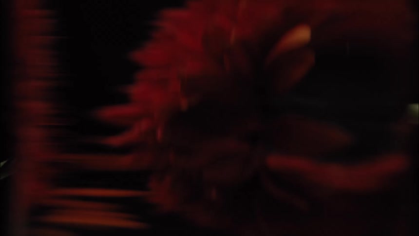 An abstract dark view a flower moving slowly behind a glass blurring and distorting its shape