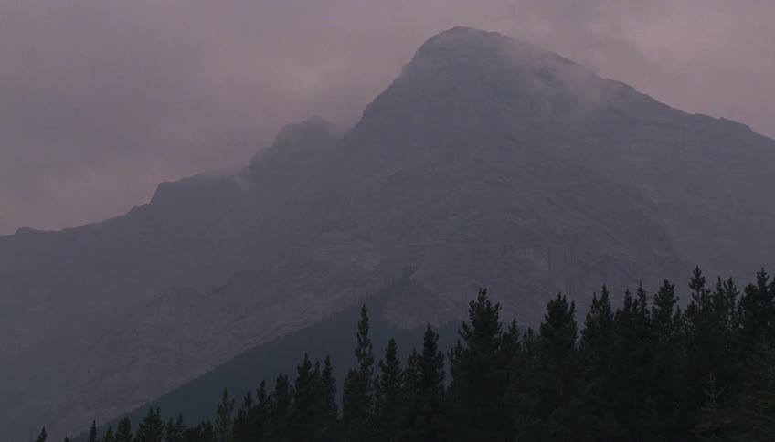 Pine trees stand below a foggy mountain under an overcast sky
