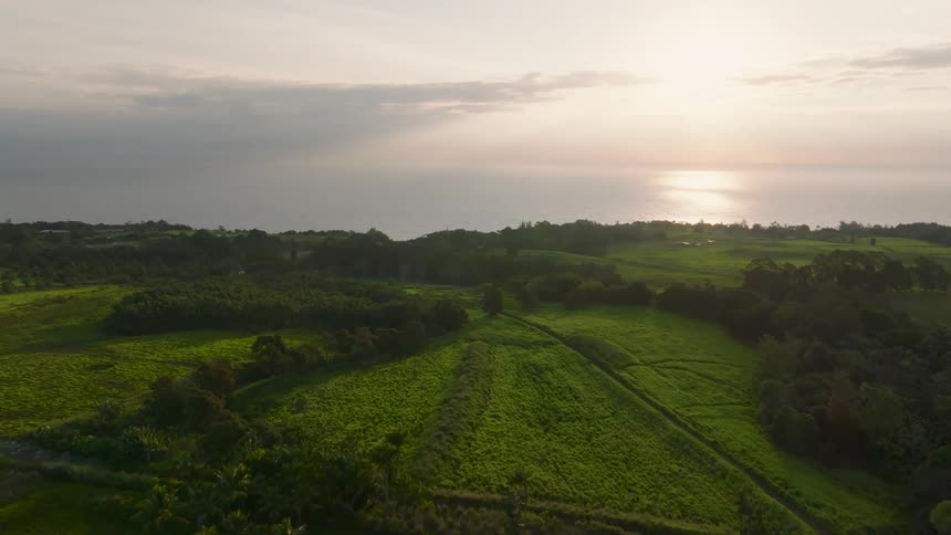 Aerial view of lush green fields and trees at sunset