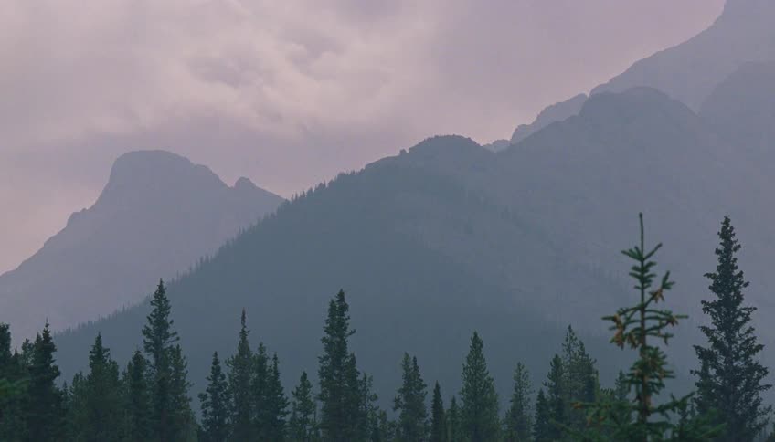 Evergreen forest stretches before mountain ranges in bluish tones beneath cloudy sky