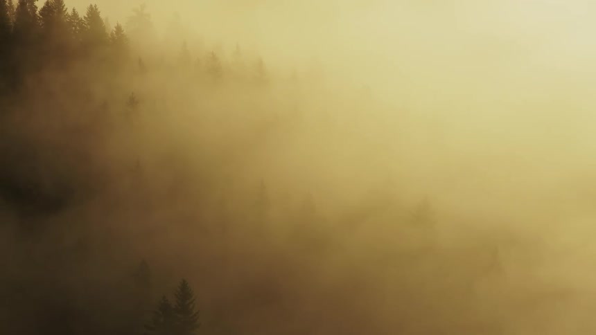 A forested ridge disappears into thick golden fog or smoke at sunrise