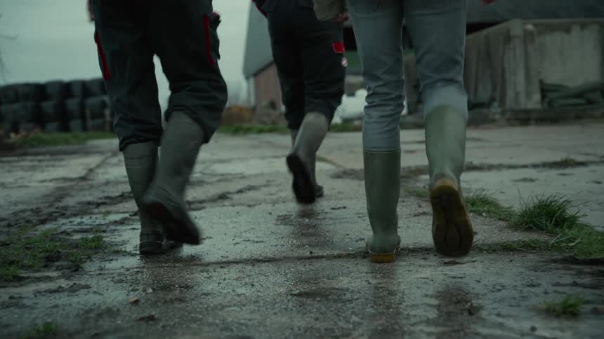A low view shows the lower legs of three people wearing dark work pants and tall rubber boots walking away from the camera on a wet muddy farmyard on an overcast day