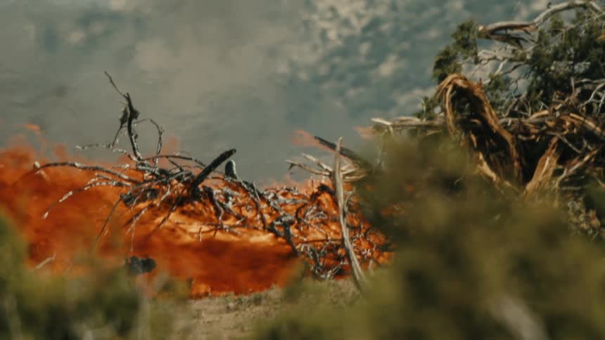 Thick bright orange flames consume dead brush and tree branches on dry ground creating a wall of fire and smoke under a cloudy sky