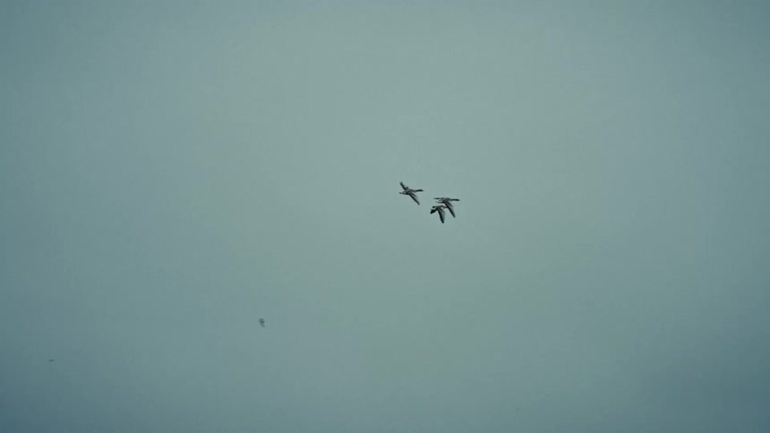 Birds fly in the cloudy sky