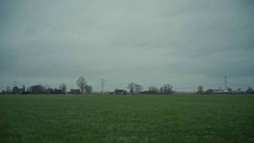 Dark green field stretches toward bare trees and houses under an overcast sky
