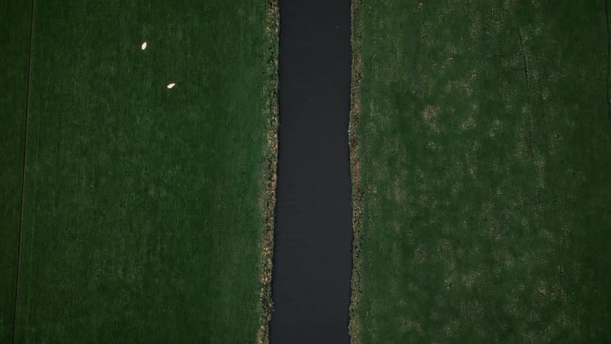 A straight dark channel of water cuts a deep green field into two equal vertical halves captured from a high aerial perspective with birds flying across the left field
