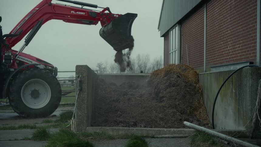 The video shows a red tractor equipped with a front loader a massey ferguson fl4220 scooping and dumping a large amount of manurecompostsilage into a concrete bunker on a farm the action is set against a backdrop of a brick farm building