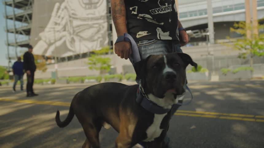 A man walks his dog on a public road with a leash at midday as other people pass by