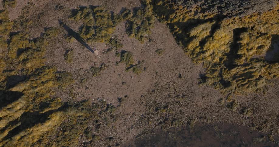 A person walks across a barren baldland under the bright sun