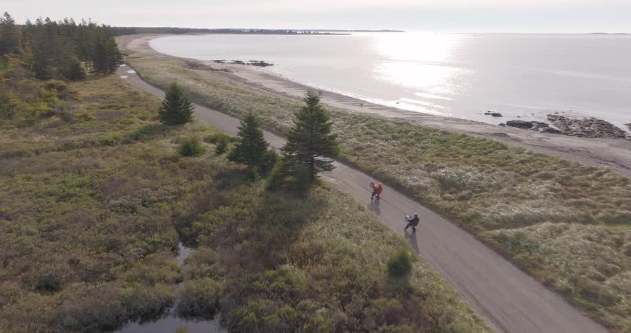 The video is a highangle shot of a person on a bicycle and a person walking a dog along a paved road next to a coastline the road is bordered by marshy scrub grass and pine trees on one side and the shimmering water of a bay or inlet on the oth