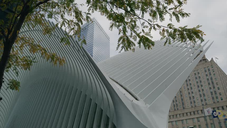 A modern winglike white structure with ribbed panels dominates the foreground next to a tree contrasting with a tall gray traditional building in the background under an overcast sky