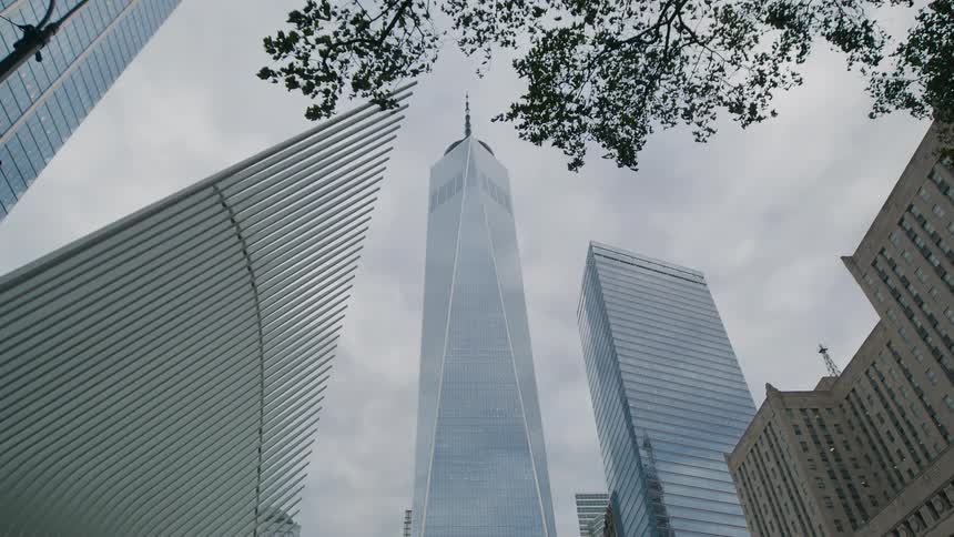 Skyscrapers in new york viewed from below with tree branches surrounding