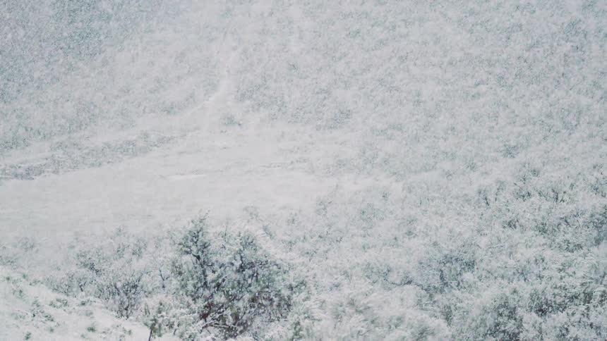 A long high angle view shows a dense forest of snow covered trees and hills as heavy snow falls in a thick curtain across the landscape