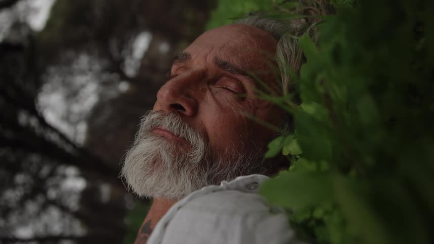 A closeup profile of an older man with a long gray beard shows his face angled upward with his eyes closed surrounded by bright light and framed by green leaves
