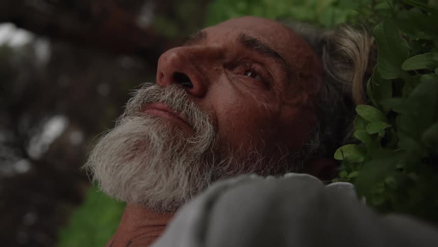 A mans face with a full gray beard is shown in closeup as he lies down among green leaves with his eyes open and gazing upward in a moment of rest