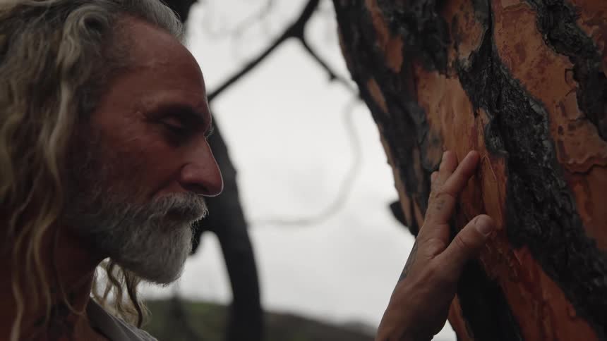 A man with gray hair and a long beard stands in profile and gently places his hand on the rough reddishbrown bark of a tree trunk with his eyes closed and a contemplative expression