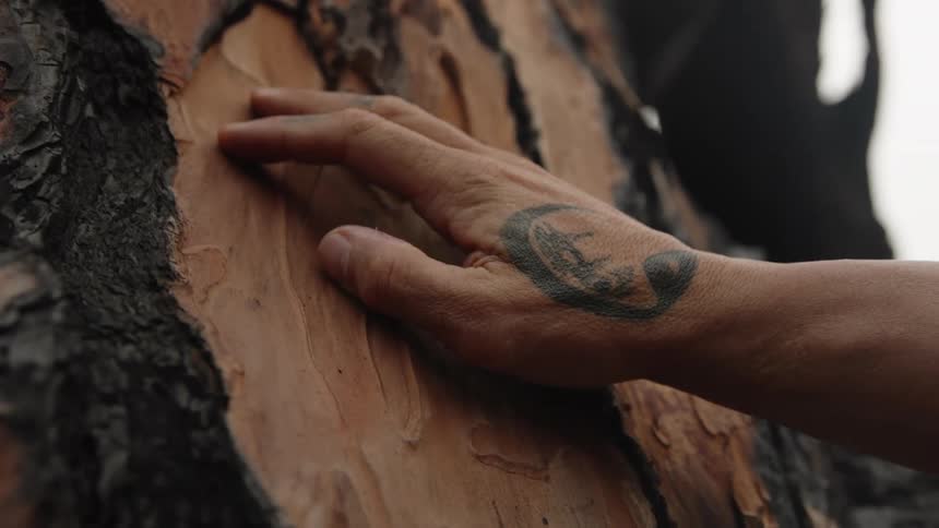 A closeup shot focuses on a persons hand with a tattoo on the inner wrist gently touching a tree trunk the bark is visibly scarred with layers of reddishbrown wood exposed next to areas of black charring suggesting it has been affected by a