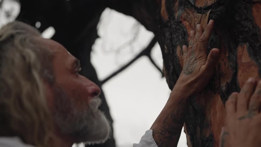 A close profile view shows an older man with long blonde hair and a gray beard wearing a white shirt placing his tattooed hands on the reddish brown and black bark of a large tree trunk