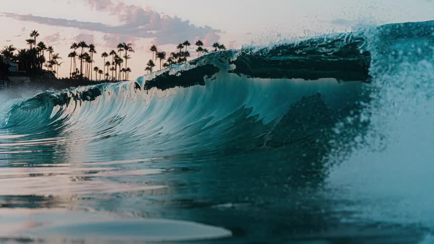 Translucent wave crashing in foreground with palm trees and pastel sky in the background