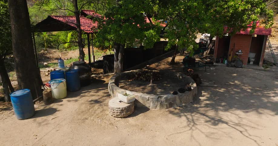 This is a wide shot of an outdoor rustic cooking or processing area nestled in a lush sunny semitropical environment the scene is dominated by a circular stone wall enclosing a pit or fire area under a large tree with various barrels an