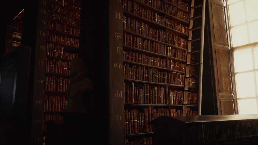 Towering dark wooden bookcases filled with hundreds of old leatherbound books line a large room lit from the right by a tall window