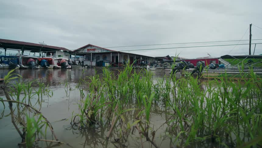 Tall green reeds poke through the calm murky water in front of a floating dock where several boats are moored under a heavy overcast sky