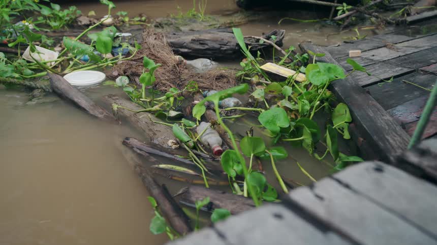 A muddy river edge is cluttered with green water hyacinth plastic bottles and driftwood beside a worn wooden dock
