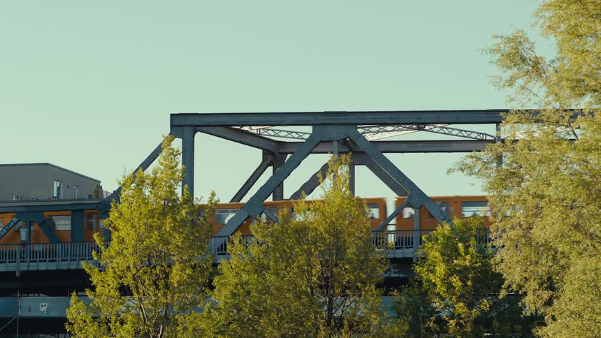 A yellow elevated subway train crosses a metal truss bridge viewed through the bright green leaves of trees below on a sunny afternoon