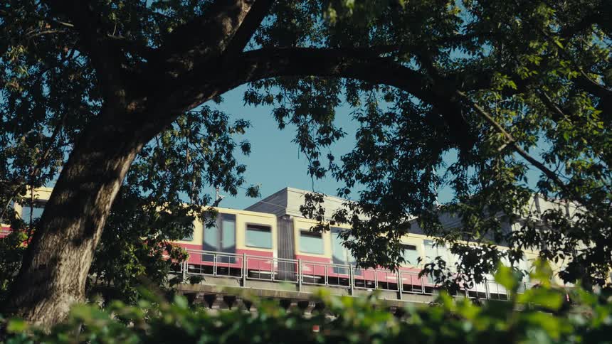 The video shows an sbahn or subway train passing quickly in the background framed by the dark arched branches and leaves of a treethe foreground foliage is sharply shadowed against a bright clear blue sky and a modernlooking building that