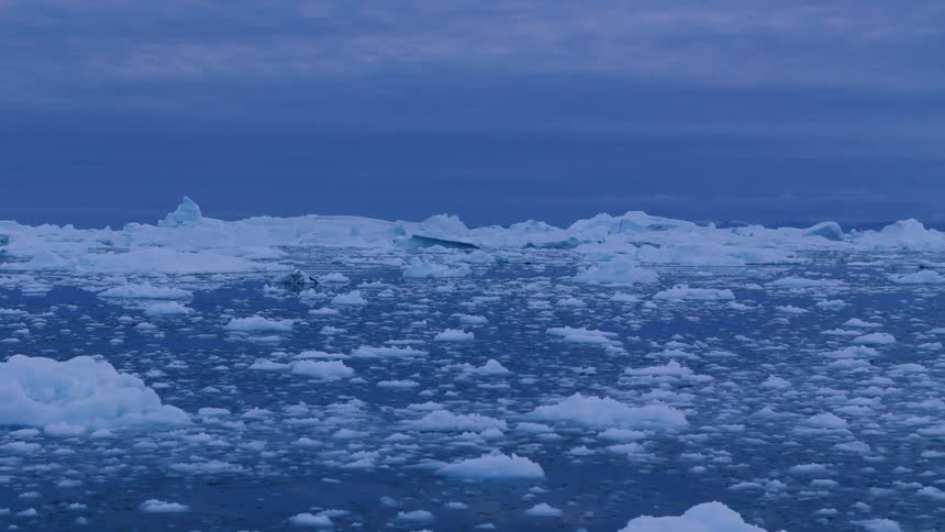 Icebergs and melting ice floating on arctic water