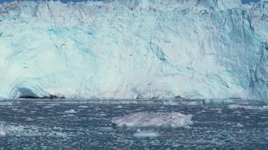 Glaciers and melting ice as birds fly along the arctic coast