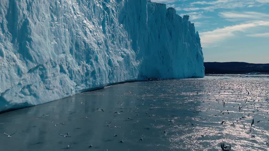 Glacier along the arctic coast as a flock of birds fly over the water