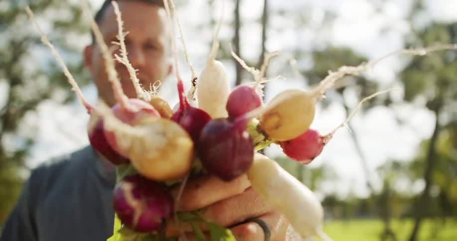 A middle aged man holding a bundle of fresh harvested vegetables while standing outdoors during daytime