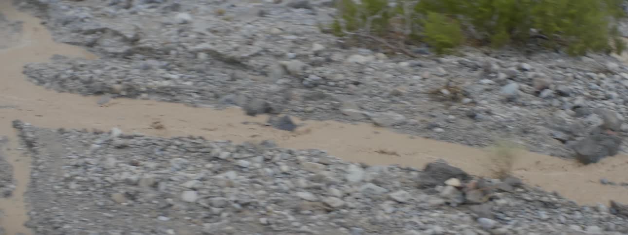 A muddy stream flows next to a road with backed up traffic