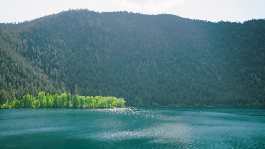 The mountain by the lake is covered with green trees