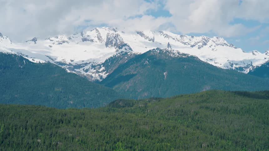 Snowcapped mountains above dense pine forests under a blue sky