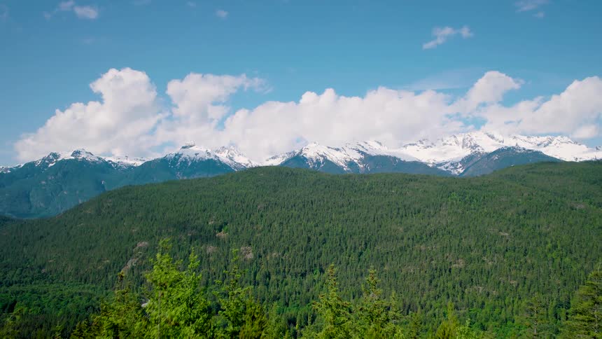 The landscape is covered with green trees