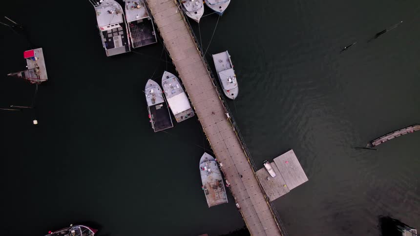 An overhead aerial view shows several small fishing boats docked along a long wooden pier extending over dark harbor water