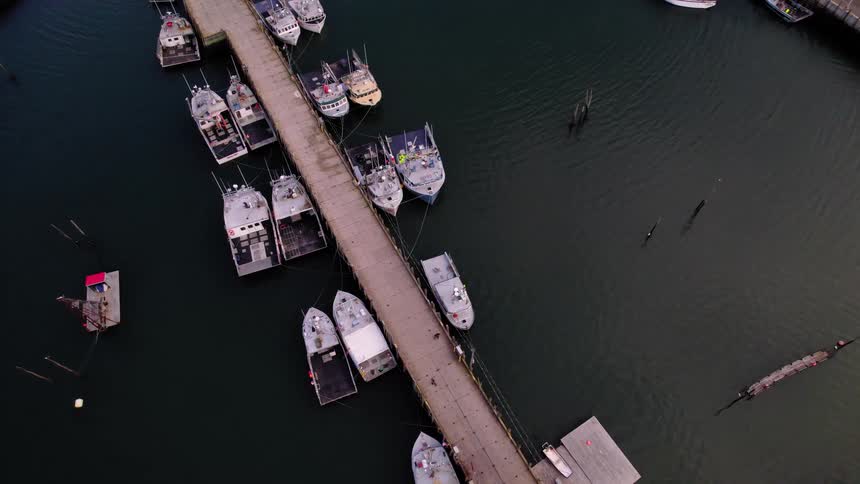 People walk along a dock lined by boats during the daytime
