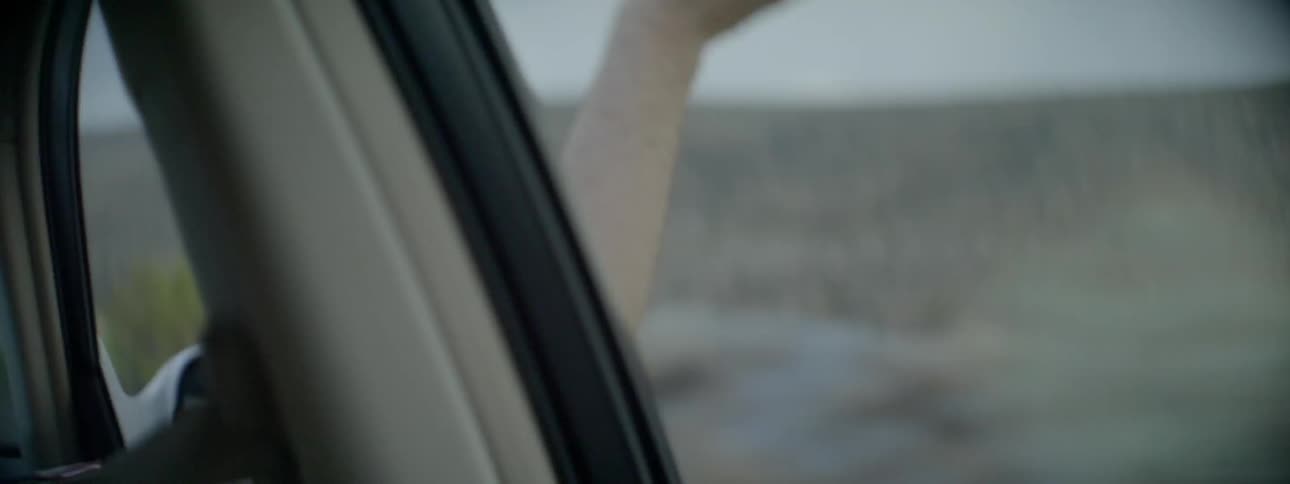 A person holds their arm out of a car window