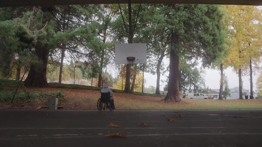 The man in the wheelchair plays basketball in the park