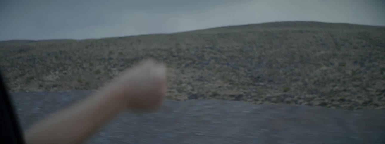 A person waves their hand out of a car