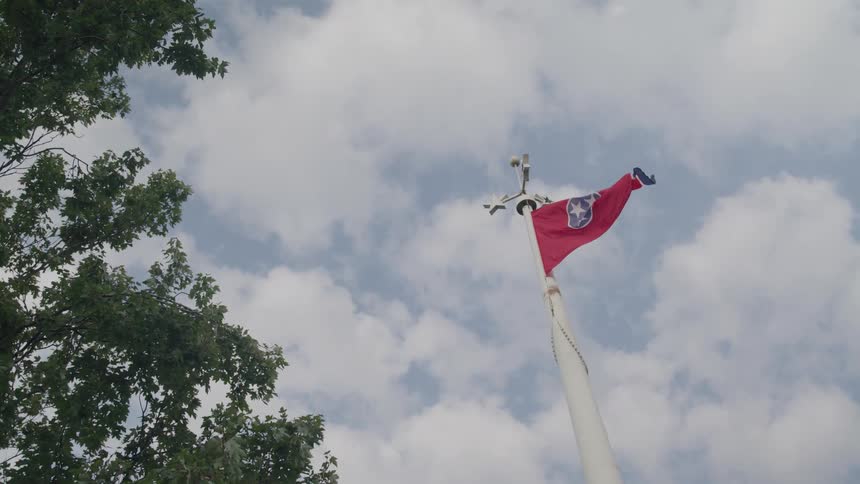 A red and white state flag flies from a tall white pole under a partially clouded sky with green tree branches framing the lower left and a white security device mounted near the top of the pole