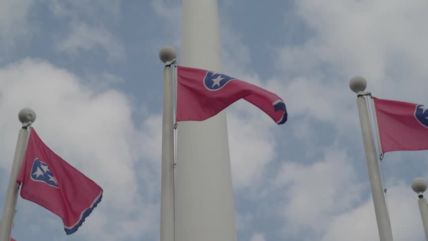 A low angle view shows several flags of tennessee flapping in the wind on tall white flagpoles against a slightly cloudy blue sky