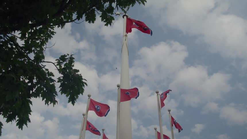 A group of nine smaller red and blue tennessee flags fly on individual poles circling a larger white flagpole where a tenth flag flies highest the flags are set against a bright partly cloudy blue sky with the dark outline of a tree in the
