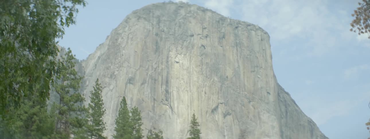 Tall trees are around this mountain