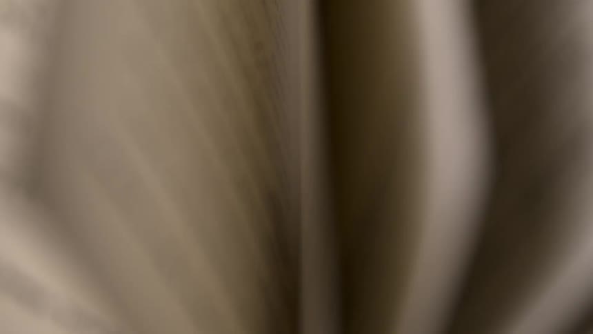 Closeup of book pages turning softly in motion