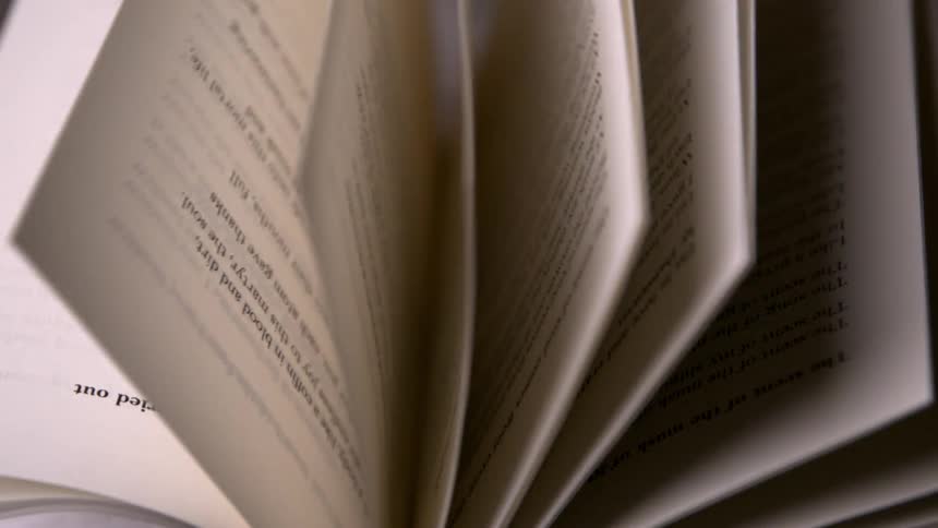 The individual pages of a bound book are slowly flipped through